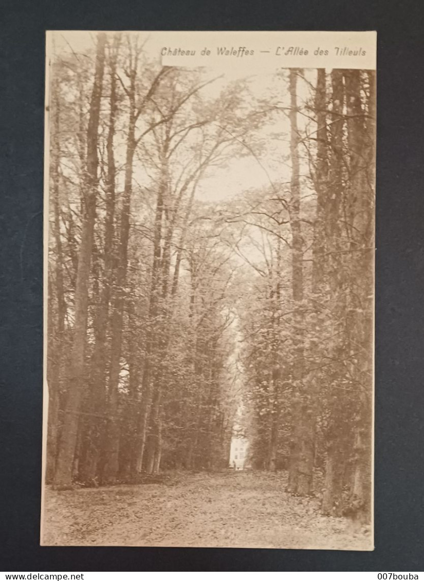 CHÂTEAU DE WALEFFES / L'ALLÉE DES TILLEULS