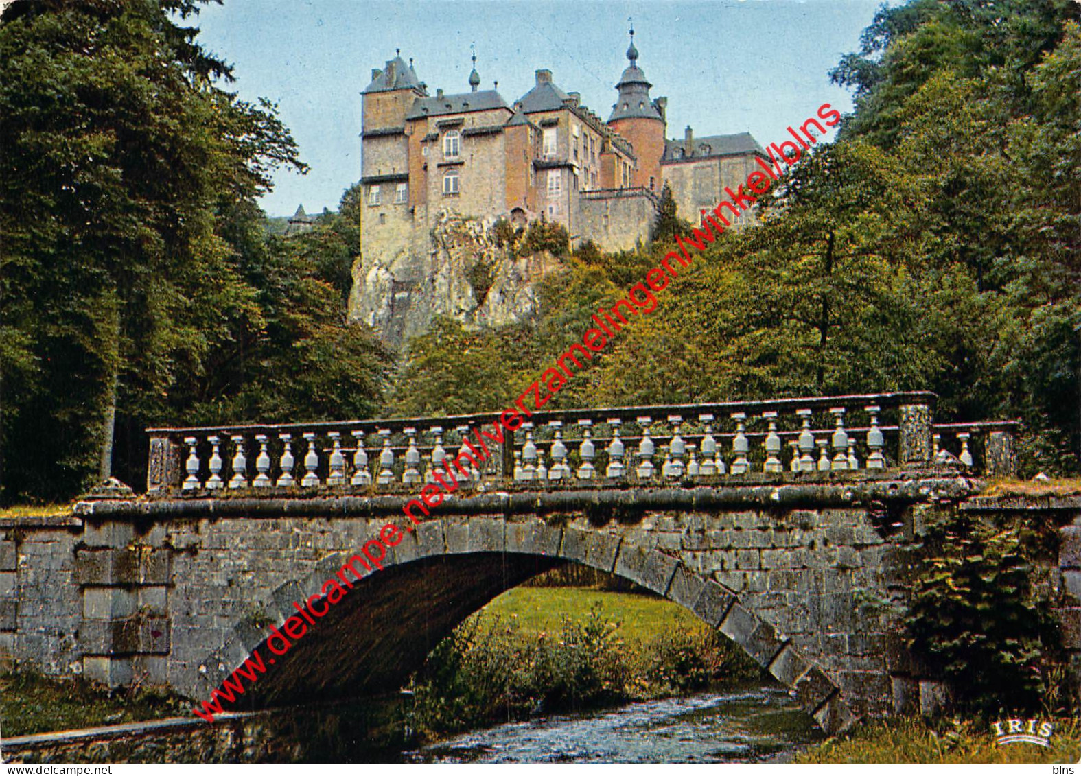 Château vu du parc - Modave