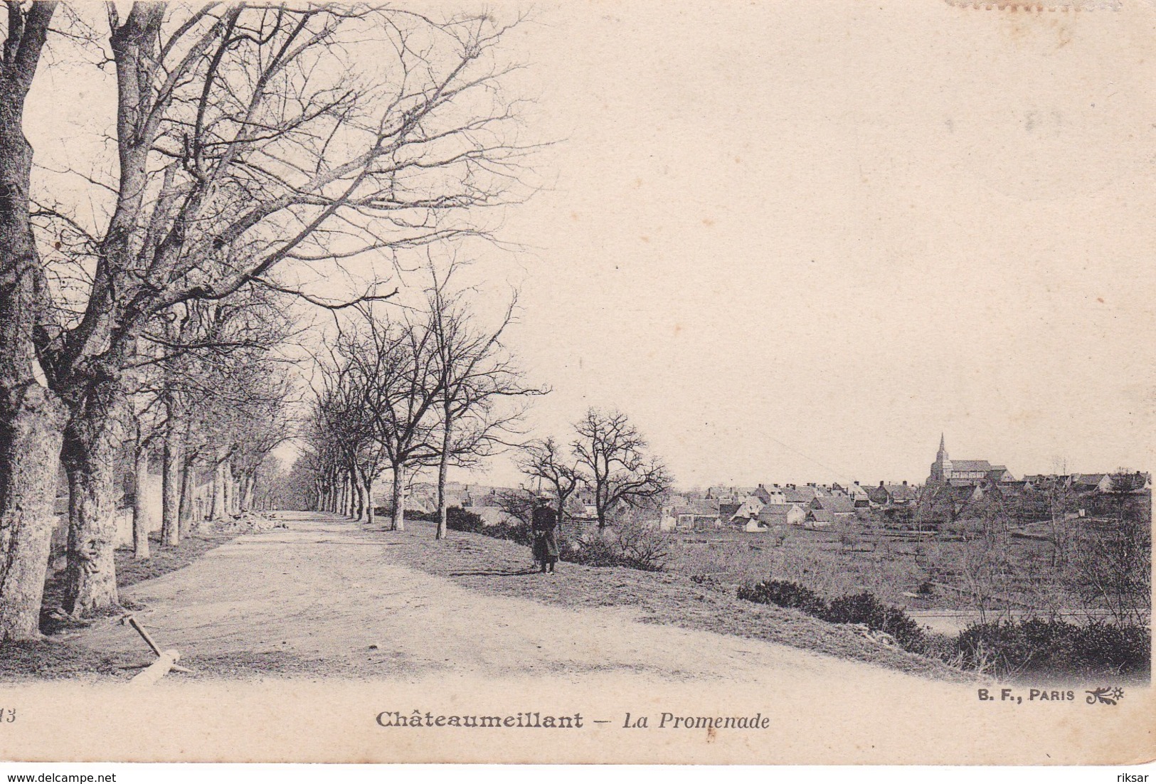 CHATEAUMEILLANT(ARBRE)