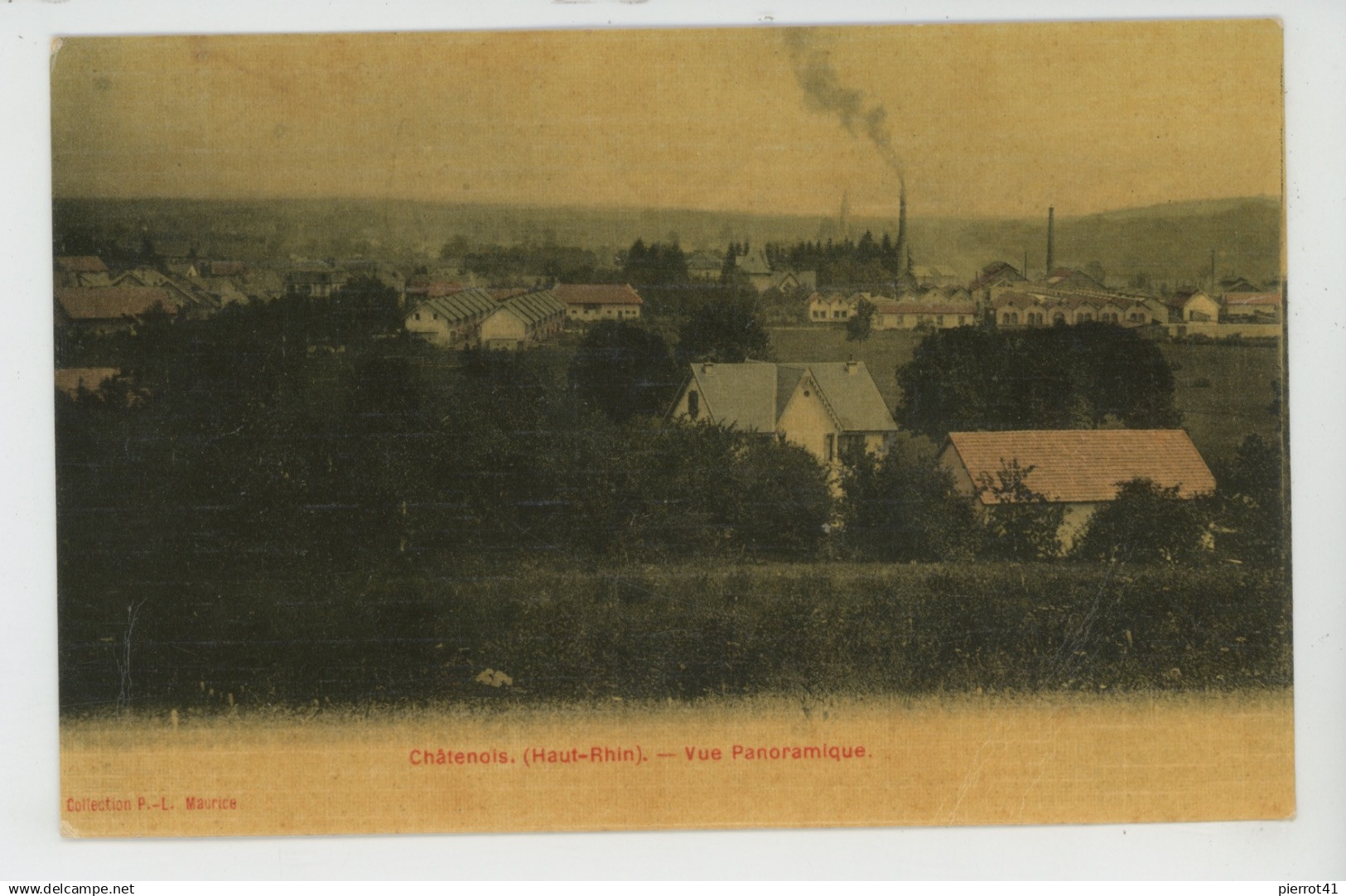 CHATENOIS LES FORGES - Vue panoramique (belle carte toilée)