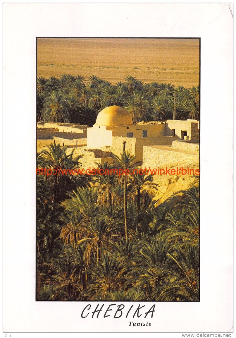 Chebika - Sud Tunisie