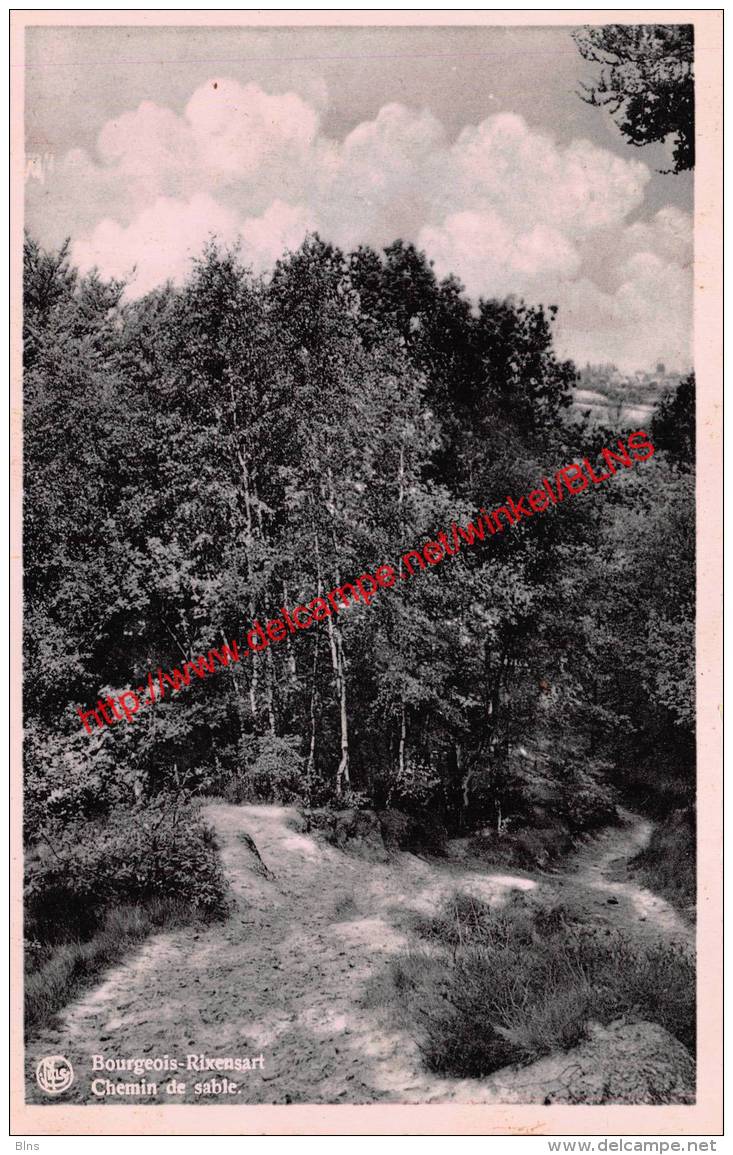 Chemin de sable - Bourgeois - Rixensart