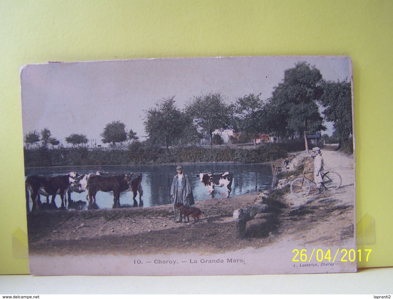 CHEROY (YONNE) LES VACHES. LA GRANDE MARE.