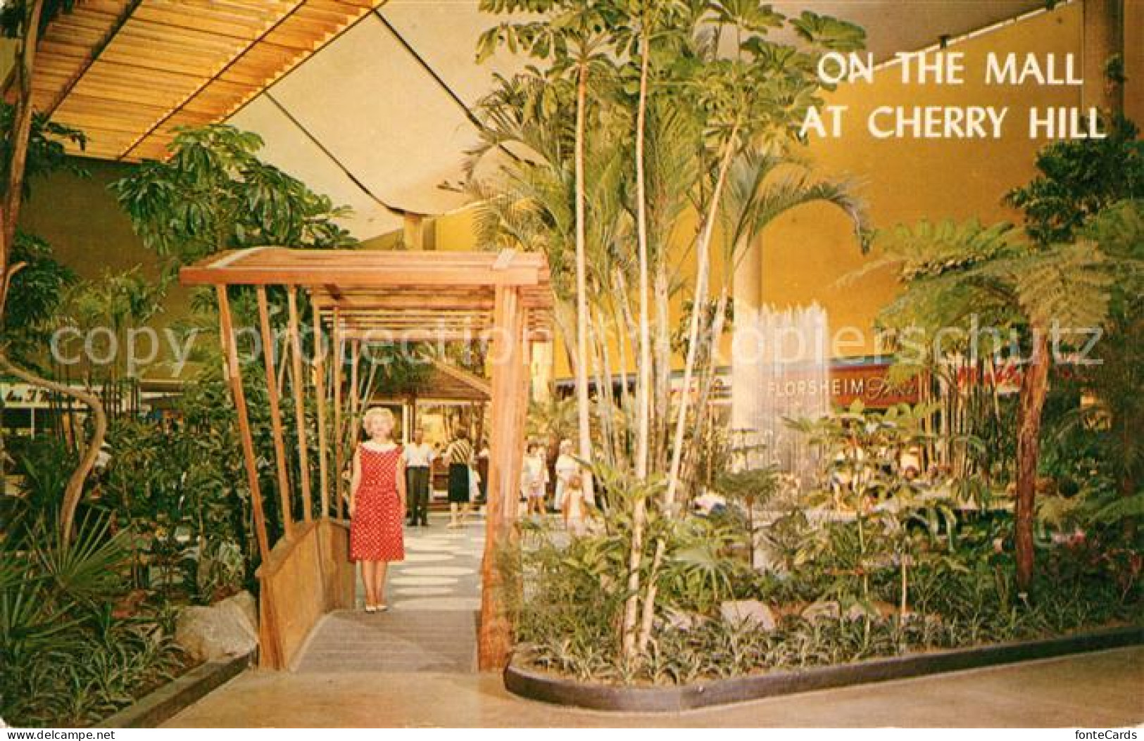 Cherry Hill On the Mall exotic tropical gardens