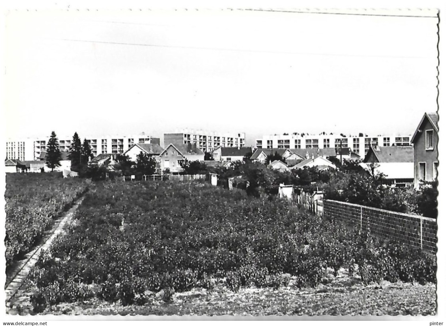 CHEVILLY LARUE - Rue Petit Leroy