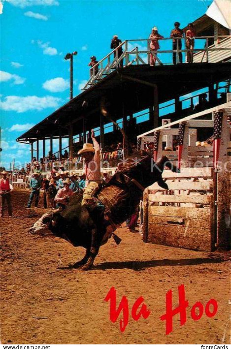 Cheyenne Wyoming Bull Riding