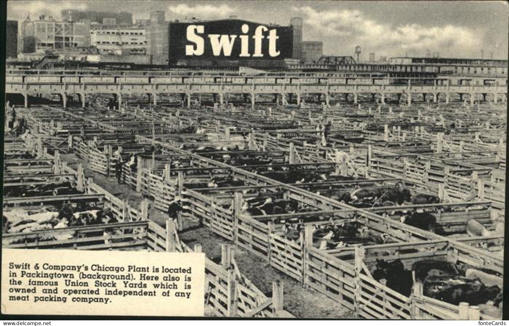 Chicago Illinois Swift & Company Chicago Plant