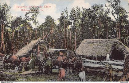 Chile - Recuerdo del Sur de Chile - Habitacion indigena - Ed. desconocido