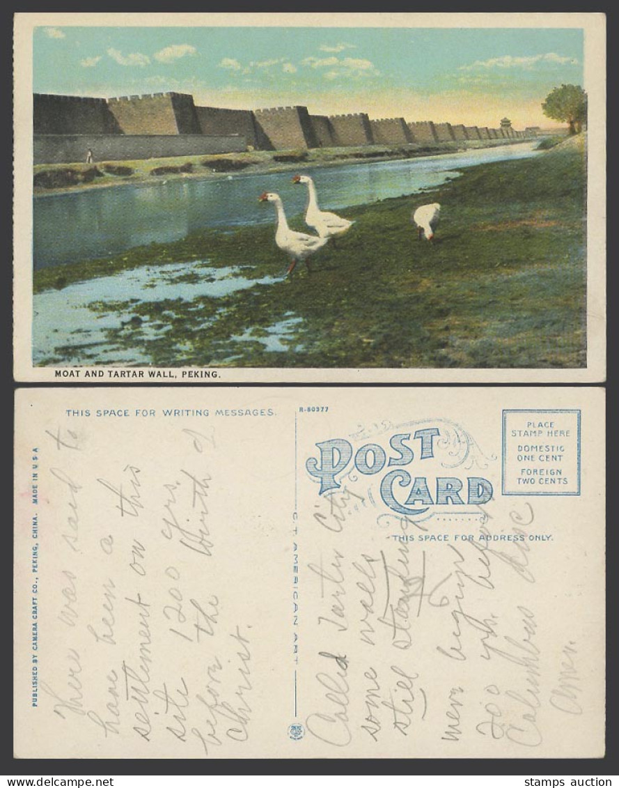 China c.1920 Old Colour Postcard Moat & Tartar Wall Peking, Goose Geese Birds 北京