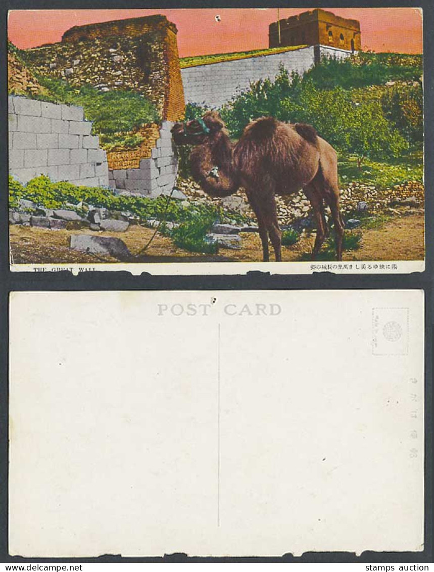 China Chinese Great Wall Mongolia Mongolian Camel Animal Old Color Postcard 萬里長城