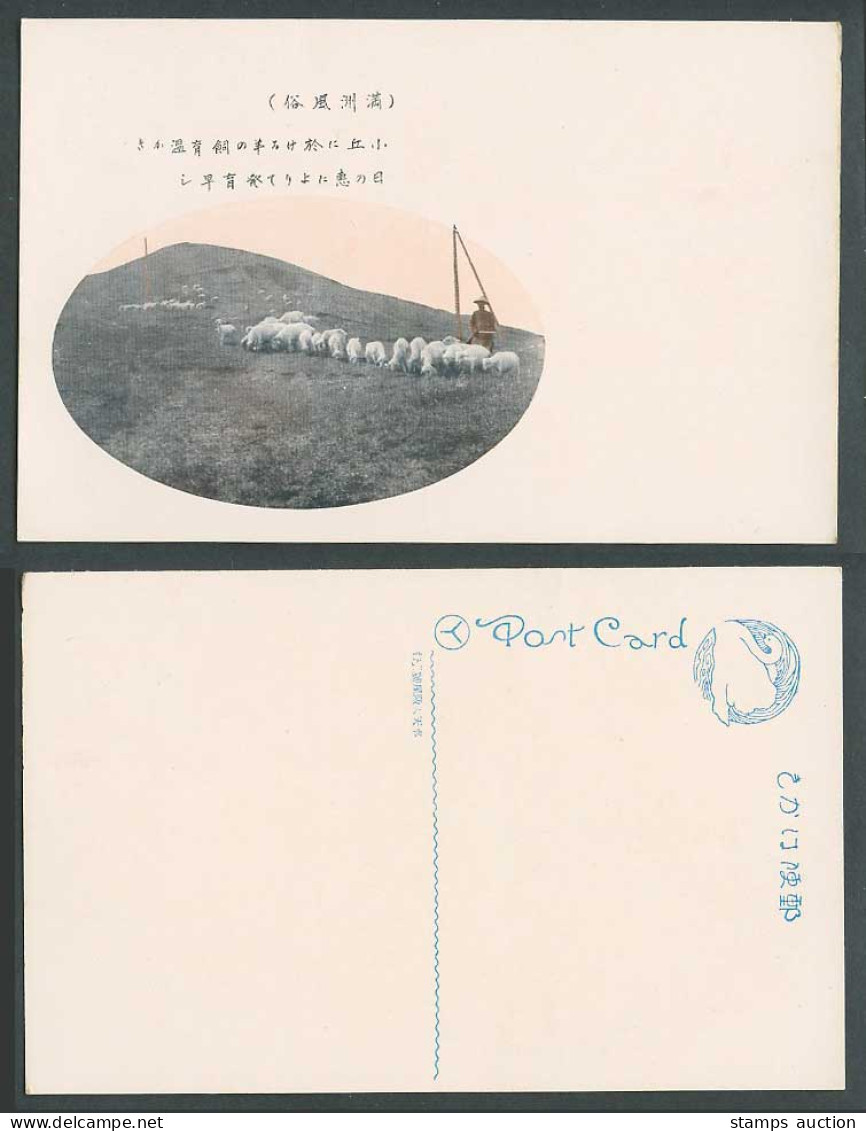 China Old Colour Postcard Manchuria, Sheep Goat Lamb Shepherd on Hill 滿洲 小丘 羊之飼育