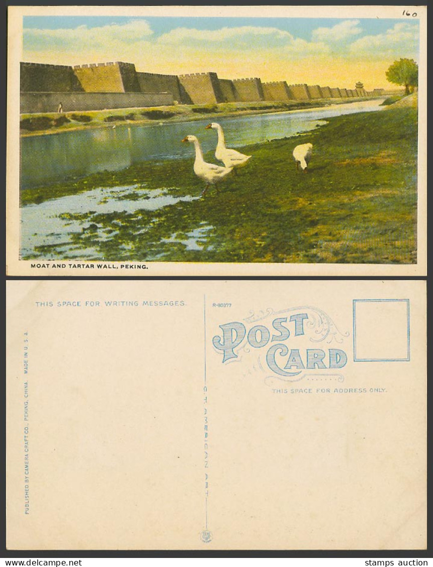 China Old Colour Postcard Moat and Tartar Wall Peking Pekin Goose Geese Birds 北京