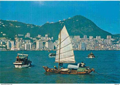 Carte Postale - Chine - Hong Kong - A panorama of Hong Kong island's central district at the base of the peak with a sam