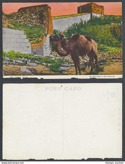 China Chinese Great Wall Mongolia Mongolian Camel Animal Old Color Postcard 萬里長城