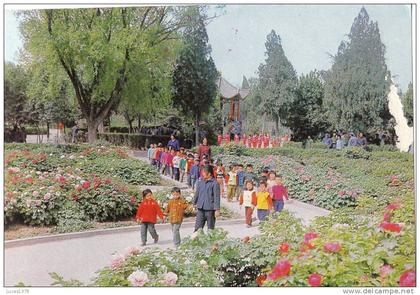 PEKIN / PEONY GARDEN