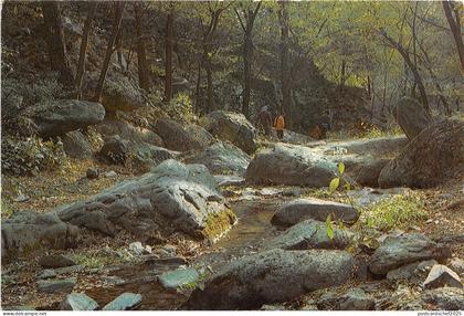 BR26004 Rivulet in Cherry Vale Fragrance Hill Park China