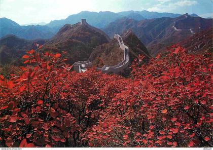 Carte Postale - Chine - Badaling - Beautiful view of deep-dyed serried woods badaling great wall beijing - Beijing - CPM