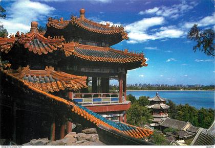 CPM Chine China Chameau