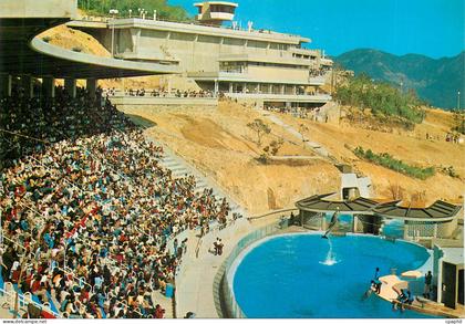 CPM The Ocean Park Dauphin