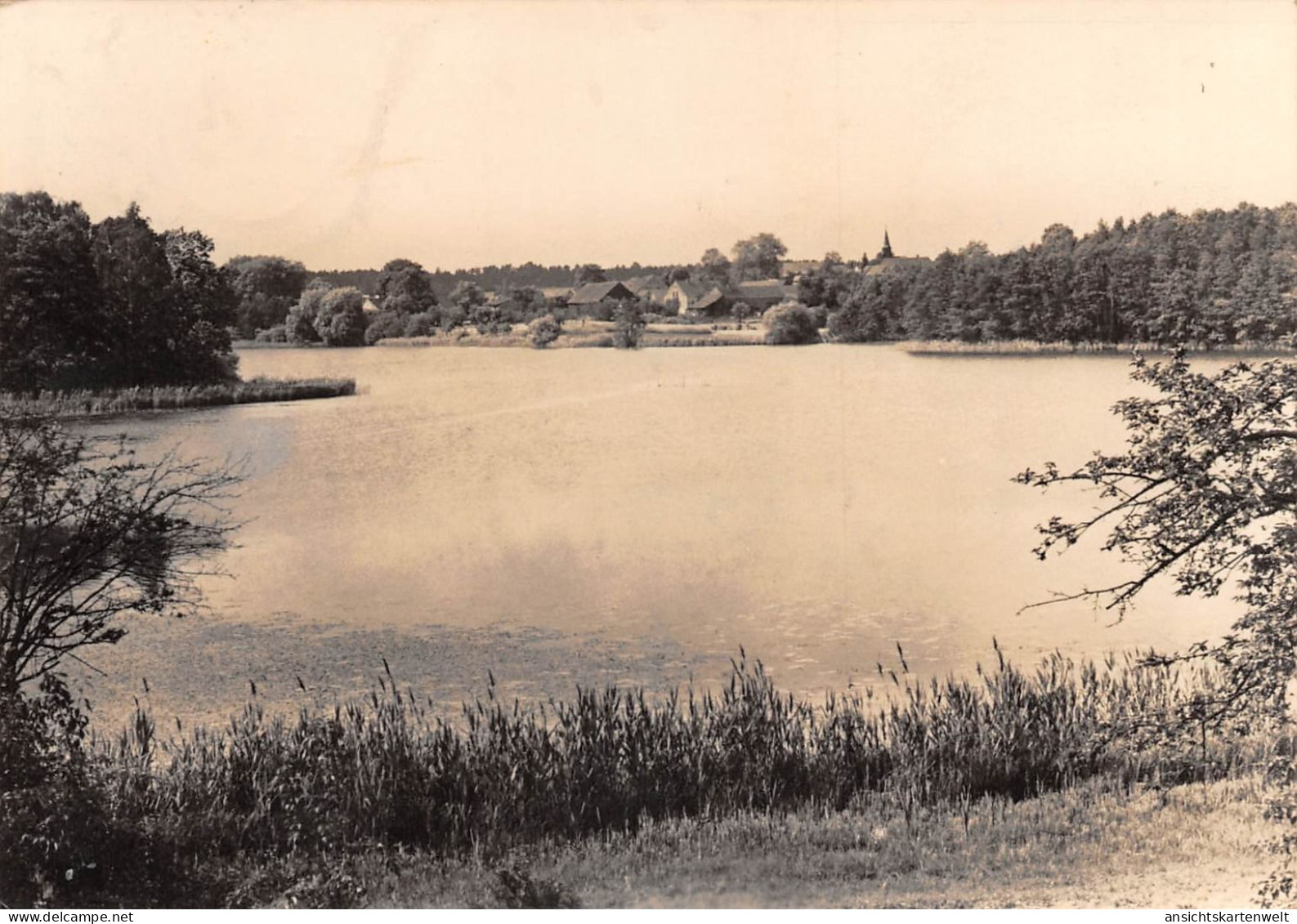 Chossewitz/Beeskow Chossewitzer See gl1974 #179.051