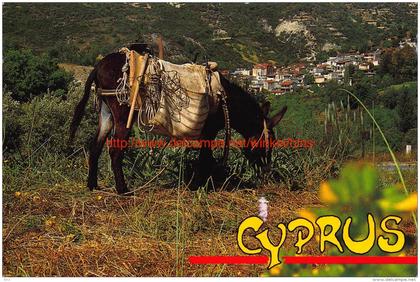 Mountain village and local transport - Cyprus