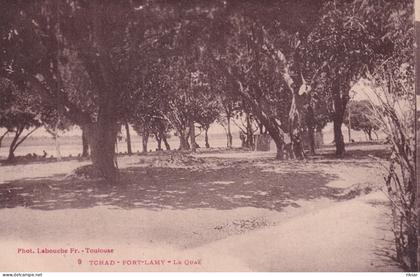 TCHAD(FORT LAMY) ARBRE
