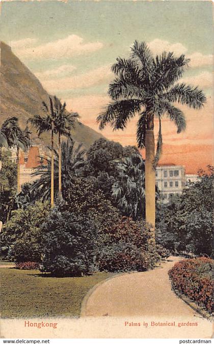 China - HONG-KONG - Palms in botanical gardens - Publ. The Hong-Kong Pictorial Postcard Co.
