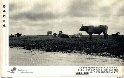 CHINA, CINA - Custom in Manchoukuo - #019