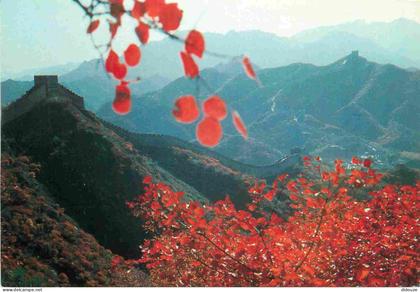 Chine - Grande muraille de Chine - The Great Wall in autumn - CPM - Voir Scans Recto-Verso