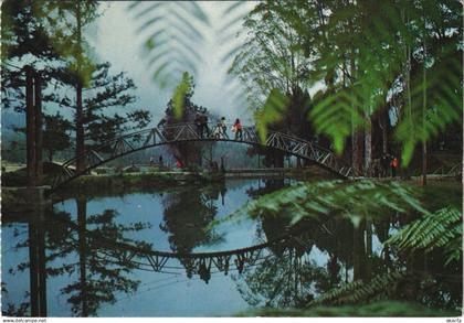 CPM Rainbow Bridge - Taiwan University CHINA TAIWAN (1298726)