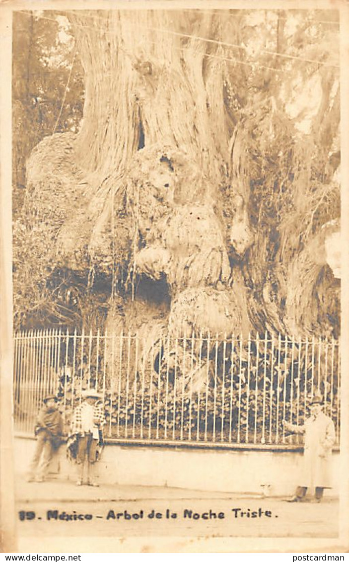 Ciudad México - Arbol de la noche triste - REAL PHOTO - POSTAL FOTO - Ed. desconocido