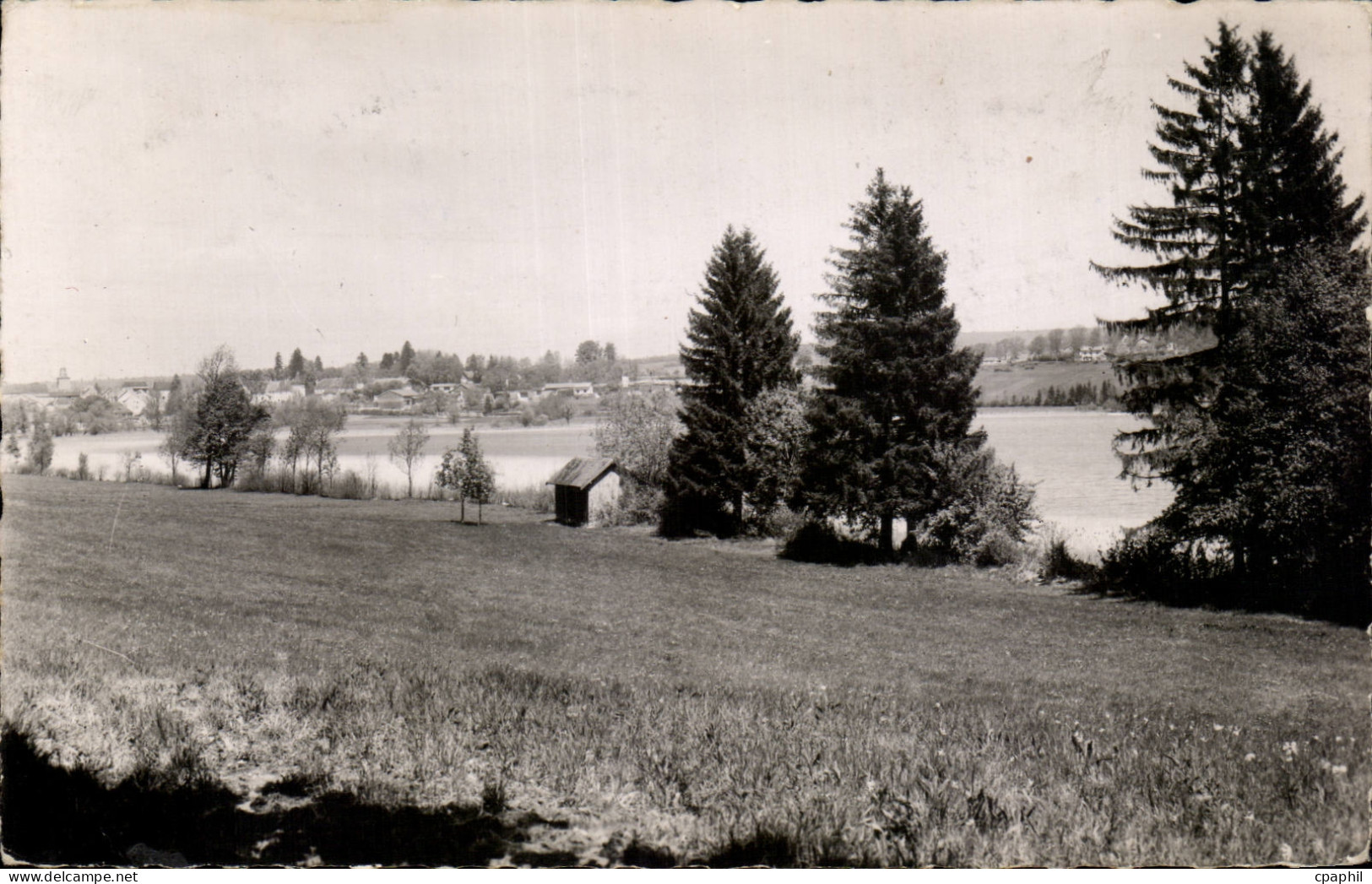 Clairvaux les Lacs - Les Bords du Grand Lac - CPA