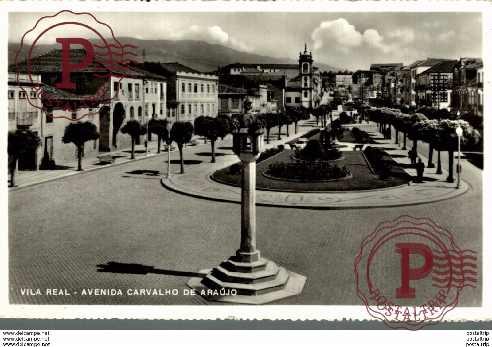 CLICHE UNIQUE   FOTOPOSTAL VILA REAL AVENIDA CARVALHO DE ARAUJO