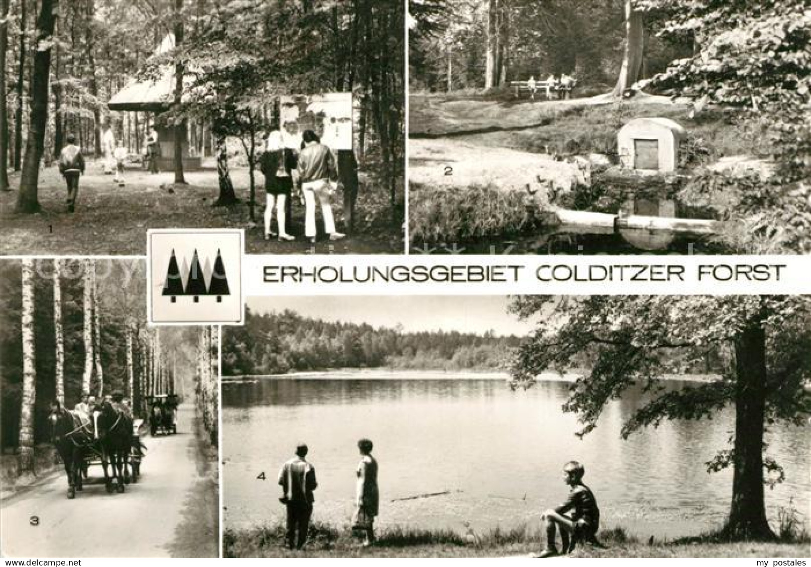 Colditz Erholungsgebiet Colditzer Forst