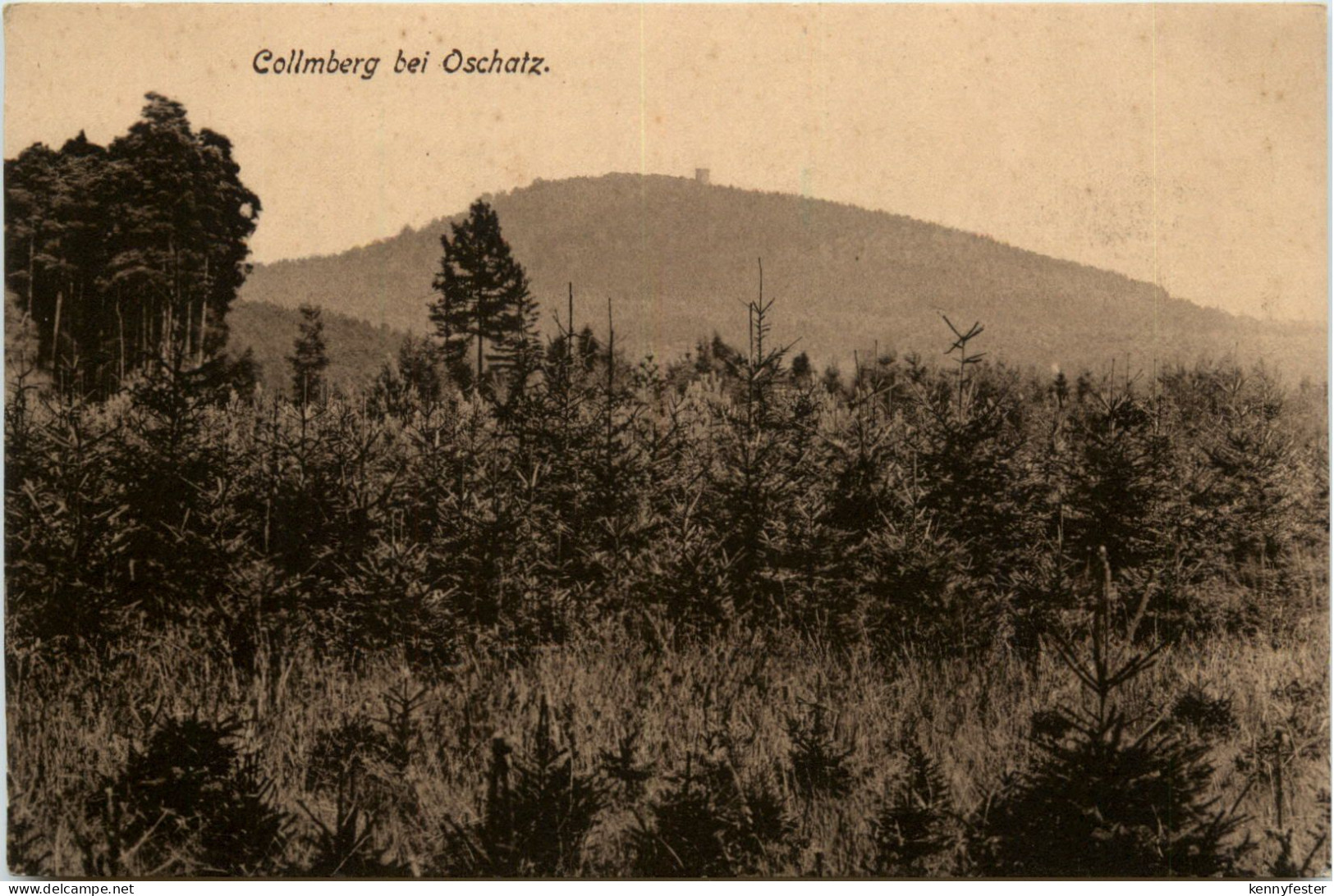 Collmberg bei Oschatz