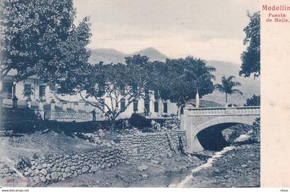 COLOMBIE(MADELLIN) ARBRE