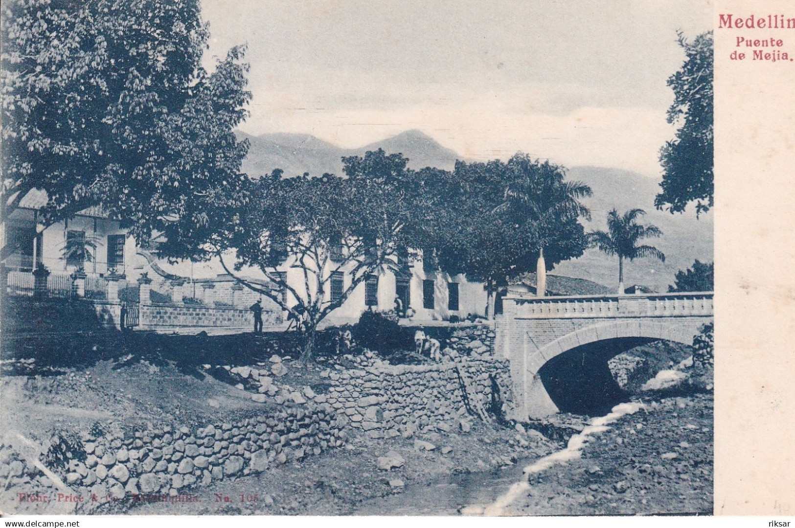 COLOMBIE(MADELLIN) ARBRE