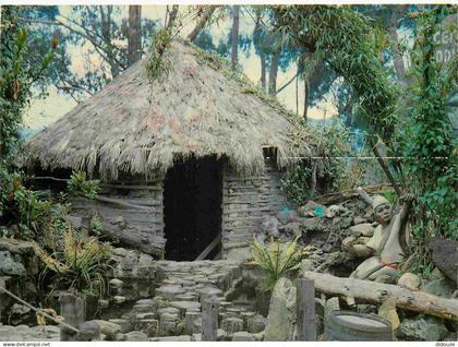 Carte Postale - Colombie - Guajira - Vivienda típica de los guajiros - CPM - Voir Scans Recto-Verso