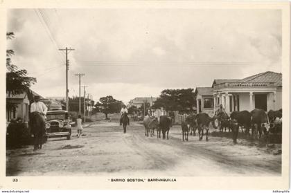 Colombia Barranquilla Boston Cattles on Street
