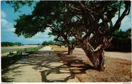 CPA  Carte Postale  Colombie Monteria Paseo de Bolivar Rio Sinu    VM109105