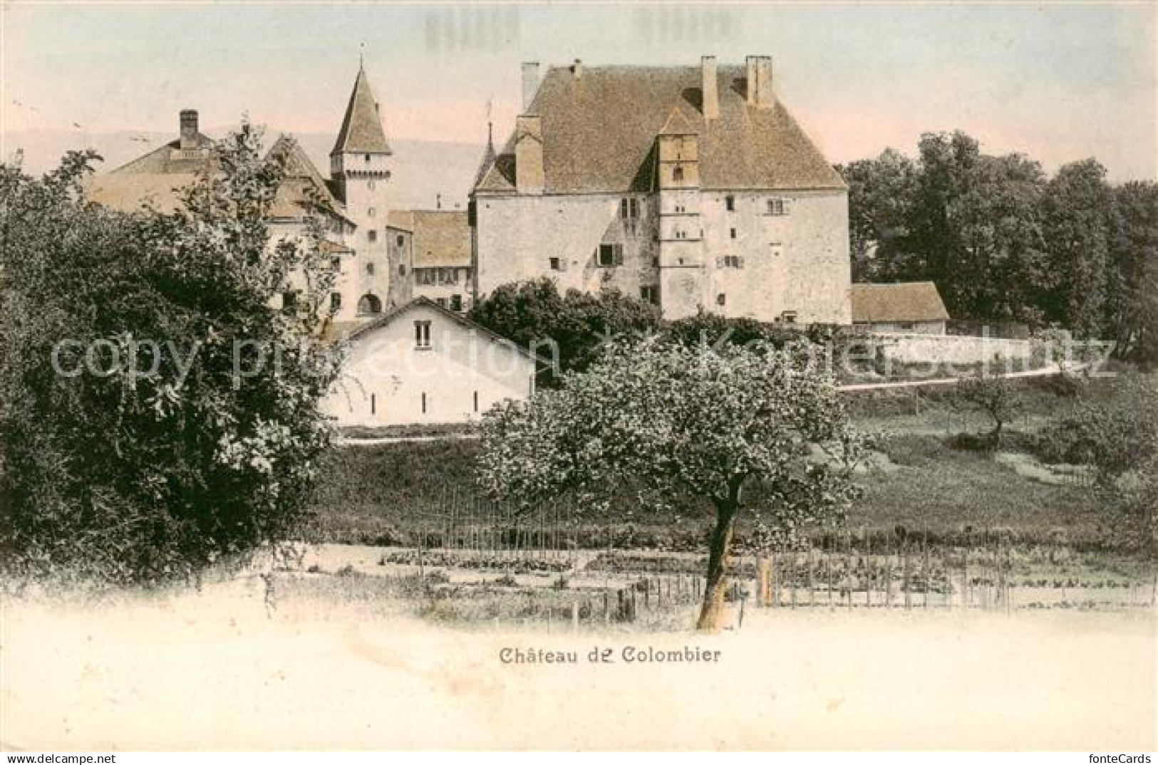 Colombier  NE Chateau de Colombier
