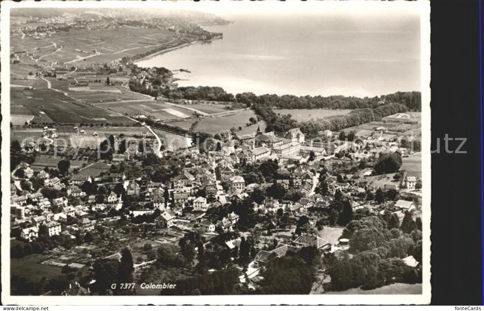 Colombier NE Fliegeraufnahme Neuenburgersee