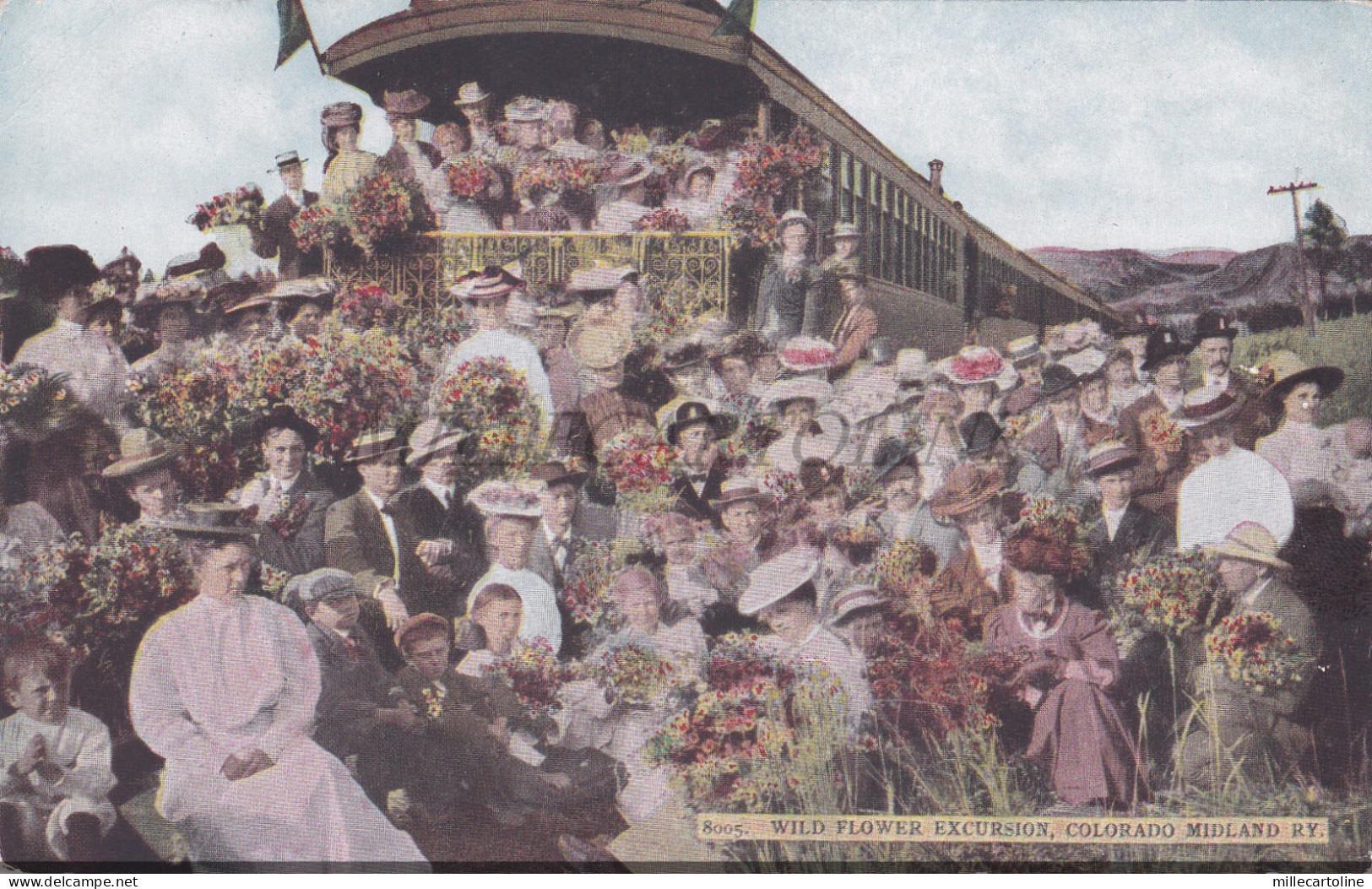 COLORADO - Colorado Springs Midland Railway Train Wild Flower Excursion Postcard