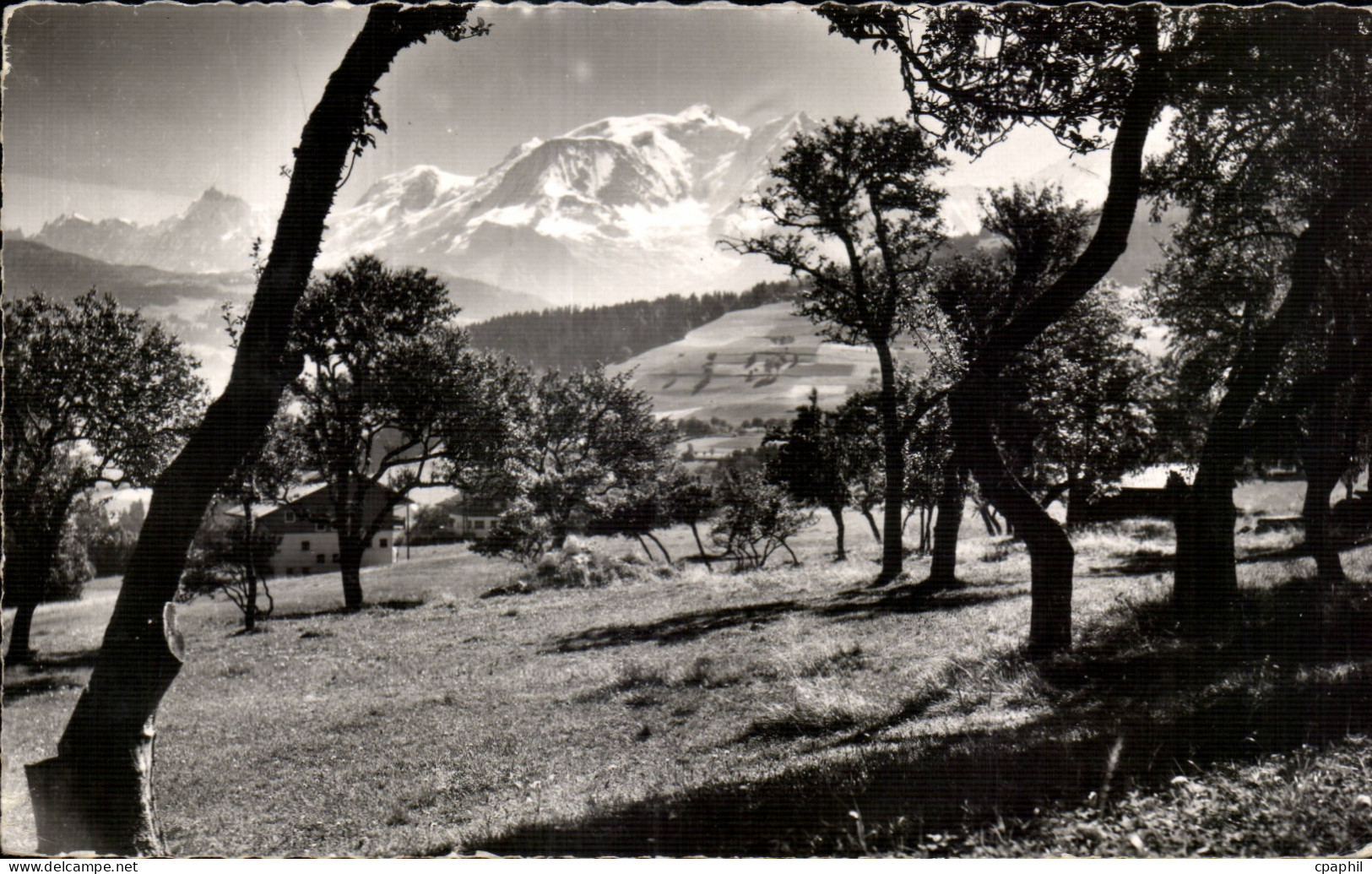 Combloux - Vue sur le Mont Blanc - CPA