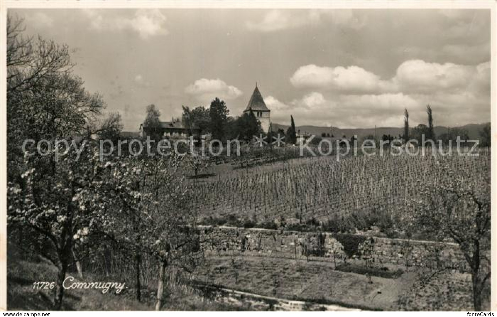 Commugny Panorama