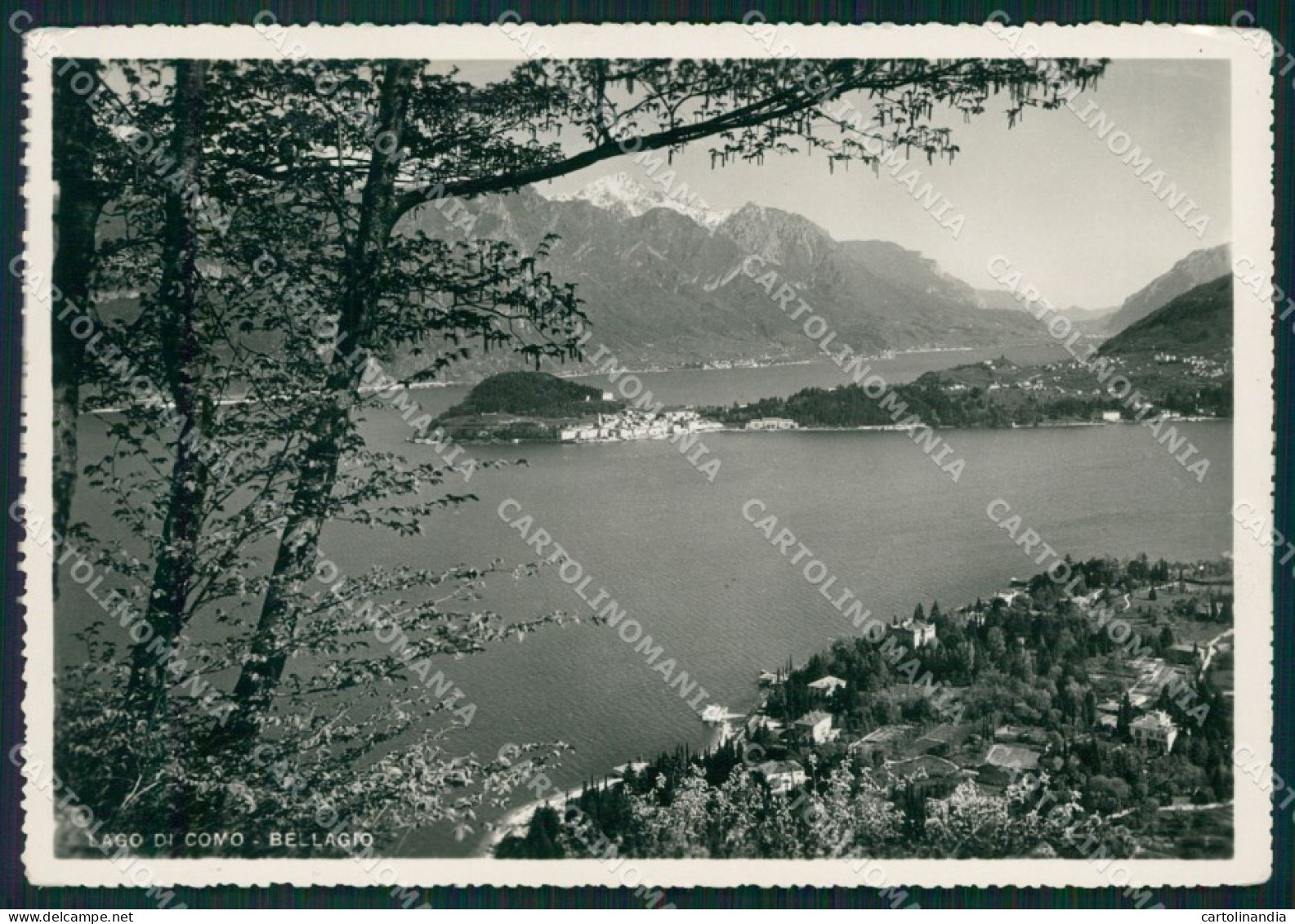 Como Bellagio lago di Como Foto FG cartolina KB4469