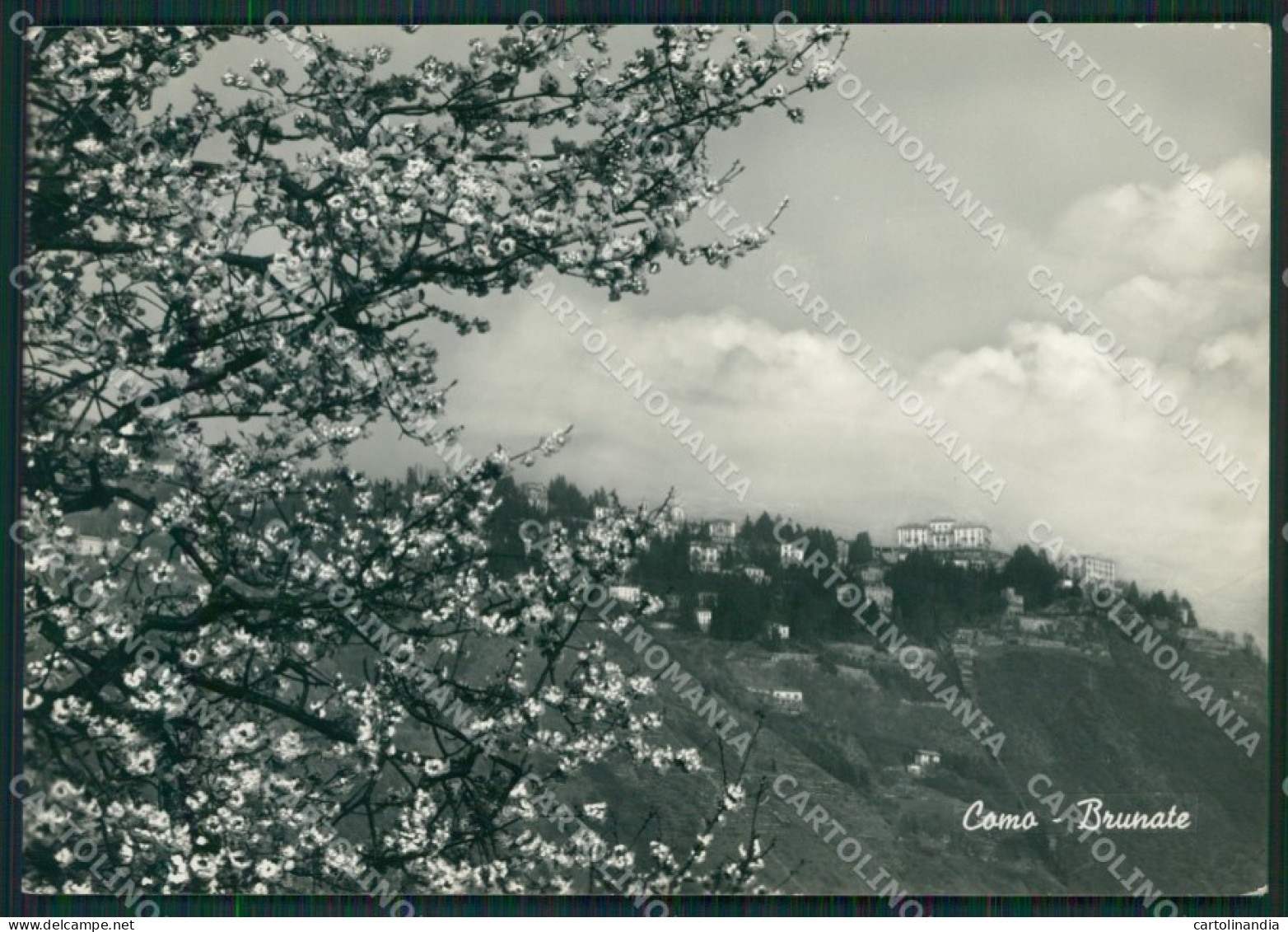 Como Brunate Lago di Como Foto FG cartolina KB3113