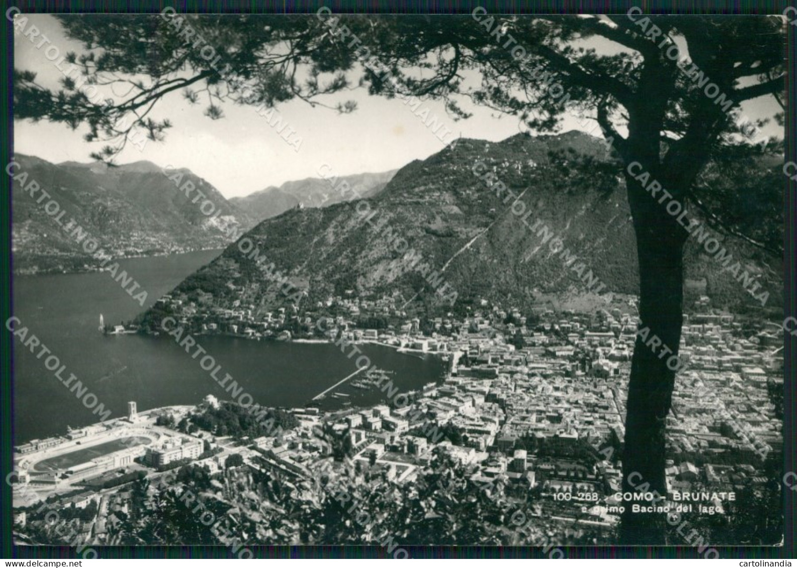 Como Brunate Lago di Como Foto FG cartolina KB3151