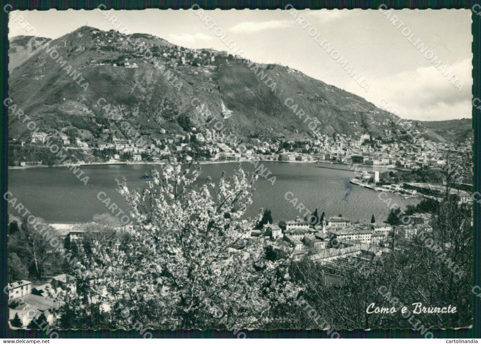 Como Brunate Lago di Como Foto FG cartolina KB3505
