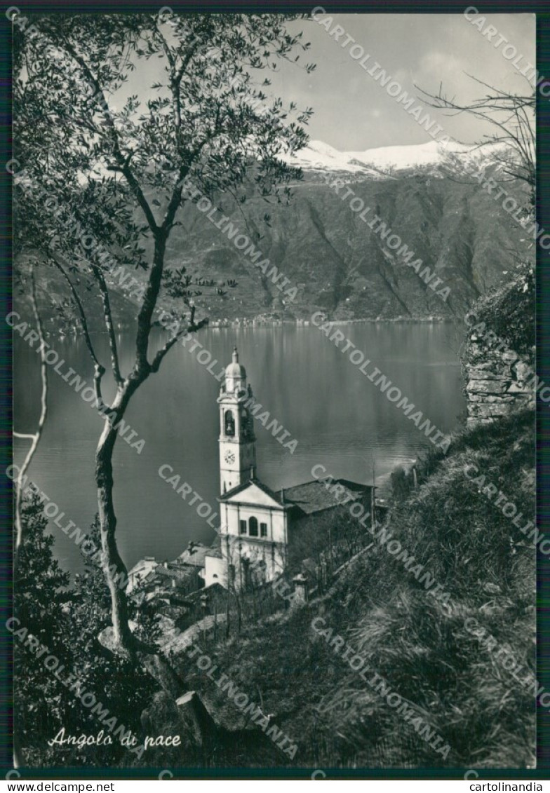 Como Menaggio Lago di Como Foto FG cartolina KB3040